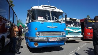 7 IkarusBusTreffen in Deutschland  Chemnitz 3062023 [upl. by Ennylcaj]