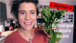 Tout savoir sur les épinards  cuisson botanique santé et recettes [upl. by Ailasor]