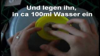 Tutorial Pflanze Toppen und zum Steckling machen [upl. by Davies]