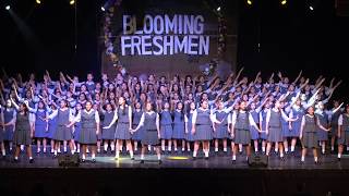 AOLG Songfest 2019 Freshmen Class of 2022 [upl. by Arrakat553]