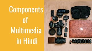 Components of Multimedia in Hindi  What are the components of Multimedia❓  TechMoodly [upl. by Adiahs]