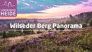 Panoramablicke vom Wilseder Berg in die blühende Lüneburger Heide [upl. by Neelra]