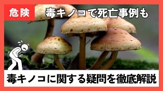 【毒キノコ】食中毒や死亡事例も 毒キノコの疑問を徹底解説 [upl. by Pulsifer]