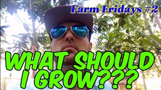 Best Crops To Start Farming Top 5 Farmfridays Ep 2 [upl. by Weslee239]