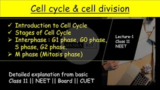 Cell Cycle amp Cell Division ✅ Introduction and stages of cell cycle  class11biology neet A005 [upl. by Ihcas]