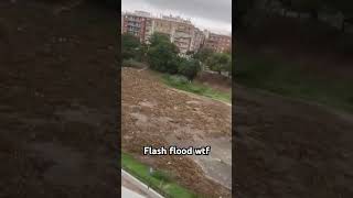 Flash flood arriving in Paiporta Valencia weather [upl. by Gilli]