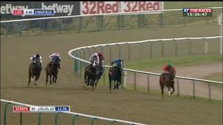 Racehorse shows incredible burst of speed [upl. by Lapotin]