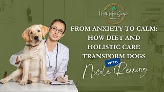 From Anxiety to Calm How Diet and Holistic Care Transform Dogs [upl. by Aitram]