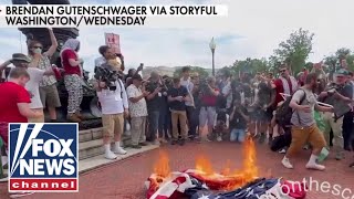 ProHamas protesters rage in DC burn American flag [upl. by Akzseinga36]