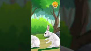 Part 2  இறந்து போன முயல்🐰  தமிழ் TööN  Tamizhtoon  shorts viral trending sirukathai [upl. by Enilaf]