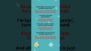 Gustixa  Lemon Tree Lyrics amp Terjemahan shorts lemontree gustixa lyrics musicviral viral [upl. by Charlot]