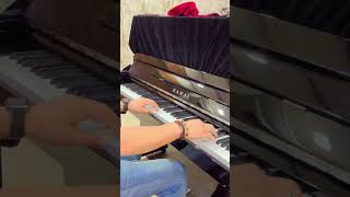 Aashiqui 2 love theme  mithoon  on piano [upl. by Aneehsit160]