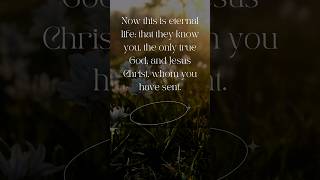 John 173 Eternal Life Through Jesus eternallife bible scripture jesus [upl. by Akihsat775]