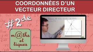 Déterminer les coordonnées dun vecteur directeur  Seconde [upl. by Seadon]