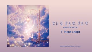 세븐틴SEVENTEEN같은 꿈 같은 맘 같은 밤 1 Hour Loop  1시간 가사 [upl. by Atenek39]