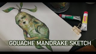 Gouache mandrake sketch [upl. by Coridon195]