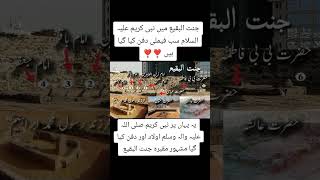 نبی کریمﷺ فیملی sallam islamicquotes lovestatus salm islamicsayings love salla sallah love [upl. by Pillihp]