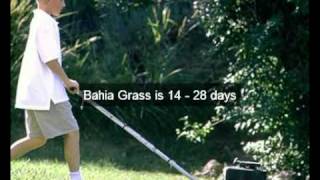 Tips On How To Plant Grass Seed [upl. by Kathryn]