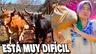 CAMPO MEXICANO ES ASí SALÍ REGAÑADA🫠 l Chingu Amiga [upl. by Dajma]