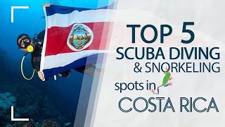 Scuba Diving amp Snorkeling in Costa Rica  The Top 5 Best Spots [upl. by Sigismundo]