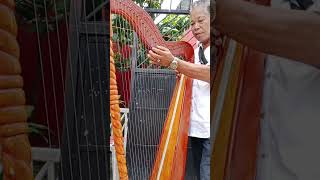 Tanging alay ko HarpMagaling talaga sa Harp [upl. by Hamid]