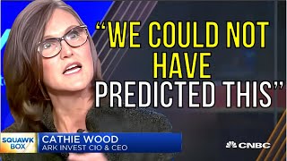 Cathie Wood If You Are a Tesla Shareholder Get Ready for Something HUGE [upl. by Ursa683]