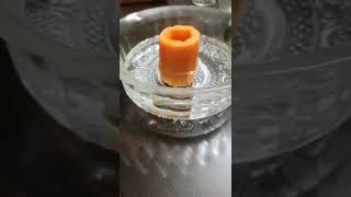 Osmosis  Experiment using carrot osmometer science experiment [upl. by Aseefan39]