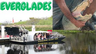 THE EVERGLADES  ONLY PLACE WHERE BOTH ALLIGATORS AND CROCODILES NATURALLY LIVE [upl. by Llenor]