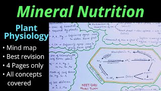 Mineral Nutrition Class 11 Plant physiology NEET AIIMS Mind map One shot video Best Notes amp revision [upl. by Yonita]