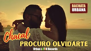 CHACAL ► Procuro Olvidarte Bachata Romantica [upl. by Kennie]