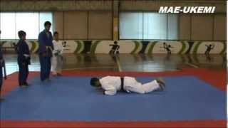 Fundamentos do Judo  Mae Ukemi [upl. by Hollis]