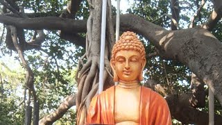 Budha in Pillalamarri Mahabubnagar Telangana [upl. by Alemat]