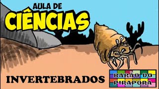 Aula de Ciências Animais Invertebrados [upl. by Pineda449]