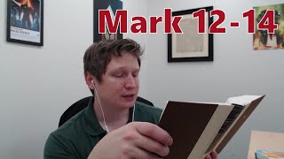 Mark 1214 ESV  Zach Lindquist Reads the Bible [upl. by Adyela]