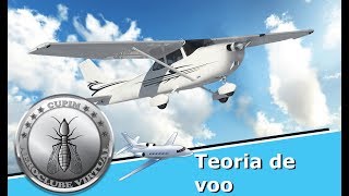 TEORIA DE VOO 005 CRUZEIRO [upl. by Wildon]