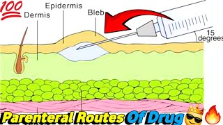 Understanding Parenteral Routes of Drug Topic  Pharmacology Lecture [upl. by Ainessej]