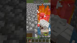 Minecarft minecraft short mind pro [upl. by Ellenwad]