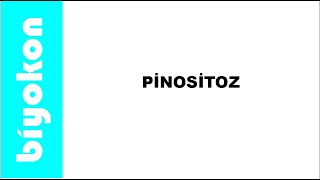 9Sınıf  Pinositoz [upl. by Eelrebmyk750]