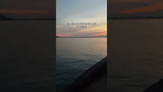 Plong fishingmania vidioshort shortvideo mancing mancingmaniamantap duniamancingmania [upl. by Lokim325]