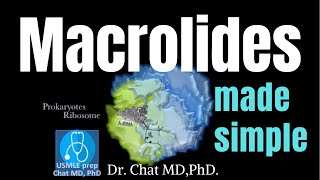 Macrolides  Mechanism of action 【USMLE Biochemistry】 [upl. by Esinart575]