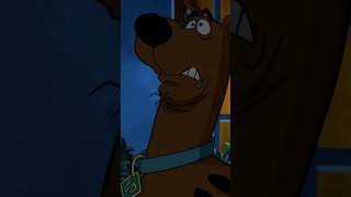 ¿POR QUE SCOOBY DOO PUEDE HABLAR scoobydoo misterio [upl. by Orgel]