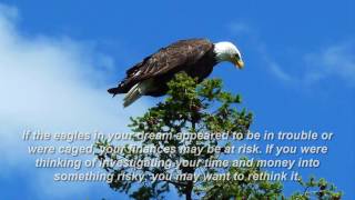 eagle dream meaning [upl. by Alaet]