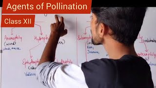 Agents of Pollination  Shivam Oswal [upl. by Imef]