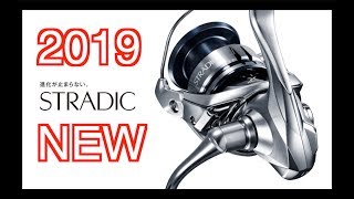 ● 2019 NEW STRADIC FL  SHIMANO  ● [upl. by Blodgett]