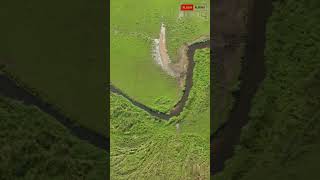 The Mystery Behind River Meanders facts shorts [upl. by Salkin]