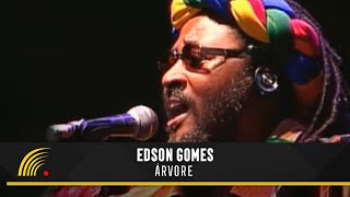 Edson Gomes  Árvore  Ao Vivo Em Salvador [upl. by German]