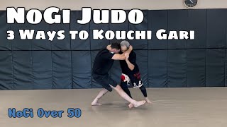 NoGi Judo  3 Ways to Kouchi Gari [upl. by Serg]