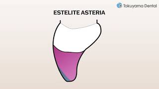 ESTELITE ASTERIA from TOKUYAMA DENTAL [upl. by Ihskaneem]