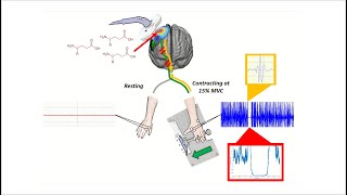 Transcranial Magnetic Stimulation TMS Intro amp Demo [upl. by Craig]