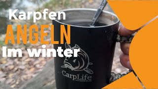 Karpfenangeln im Winter  Futter  Rigs amp Tricks mit Kai aus der Kiste [upl. by Carolynne]